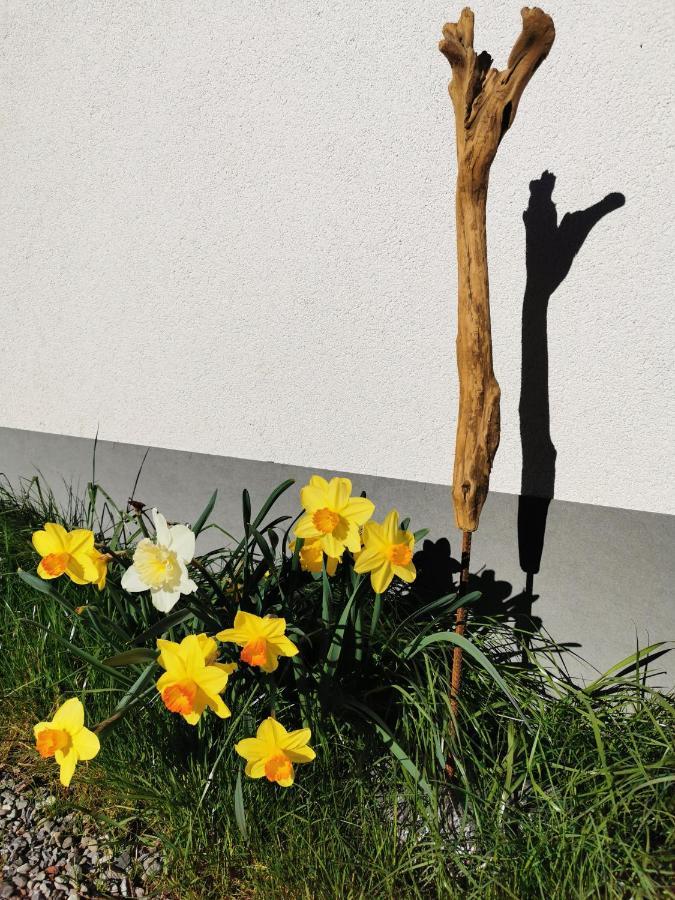 Ferienwohnung An Der Alten Saege Bezau Esterno foto