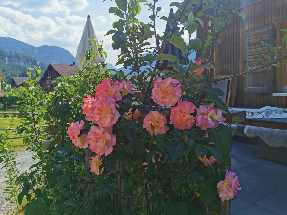 Ferienwohnung An Der Alten Saege Bezau Esterno foto